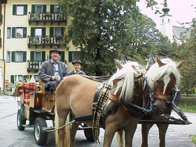 ホテル Torrenerhof ゴリング・アン・デア・ザルツァッハ エクステリア 写真